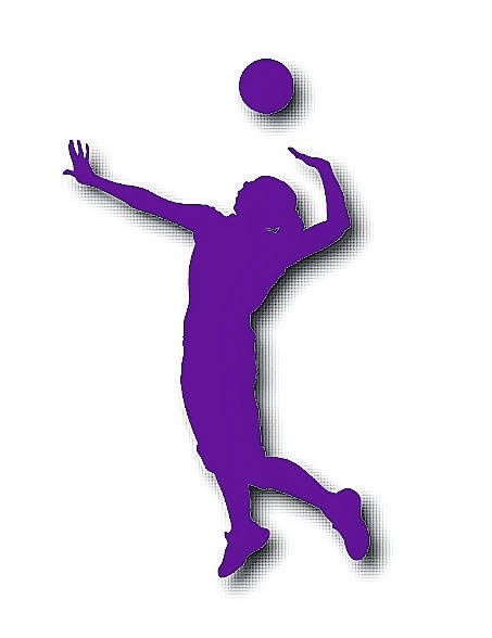 Fall preview: West Bladen volleyball | Bladen Journal